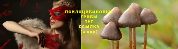 дурь Елизово