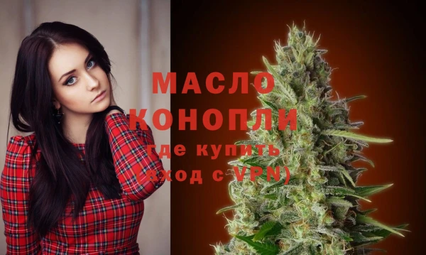 ГАЛЛЮЦИНОГЕННЫЕ ГРИБЫ Ельня
