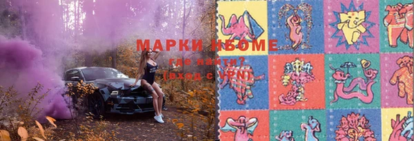 дмт Осташков