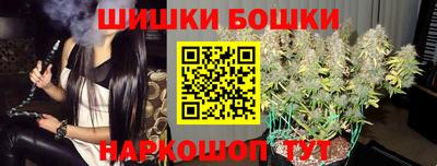 индика Кандалакша