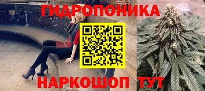 индика Кандалакша