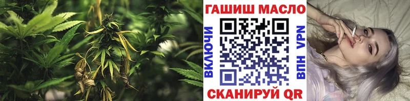 darknet телеграм  Сальск  ТГК вейп  дарнет шоп 