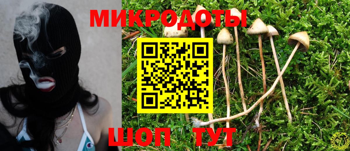 Галлюциногенные грибы ЛСД Сальск